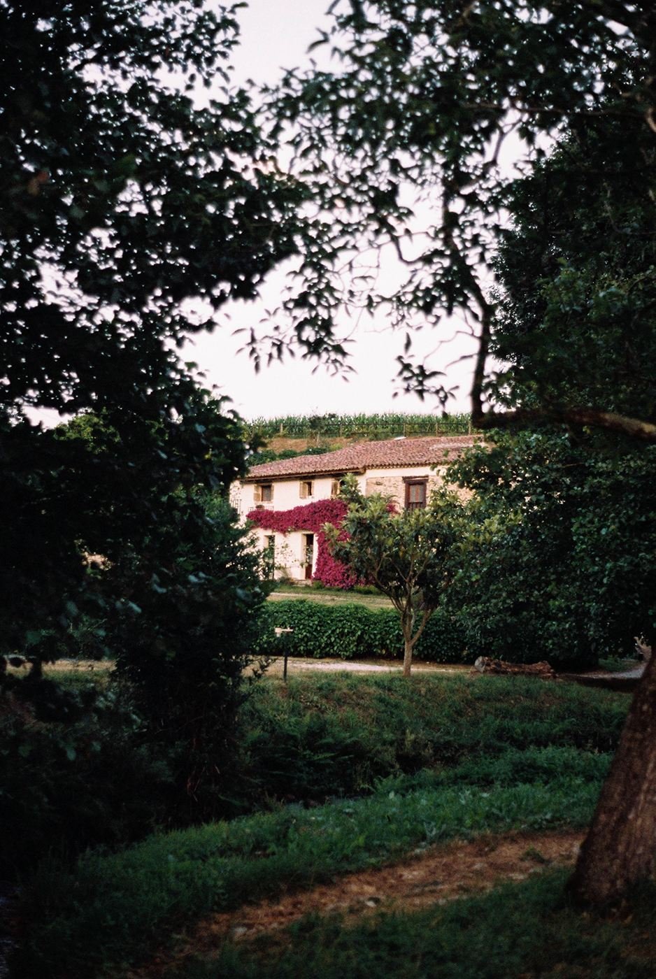 Finca el Ribeiro: casa de piedra con buganvilla entre árboles