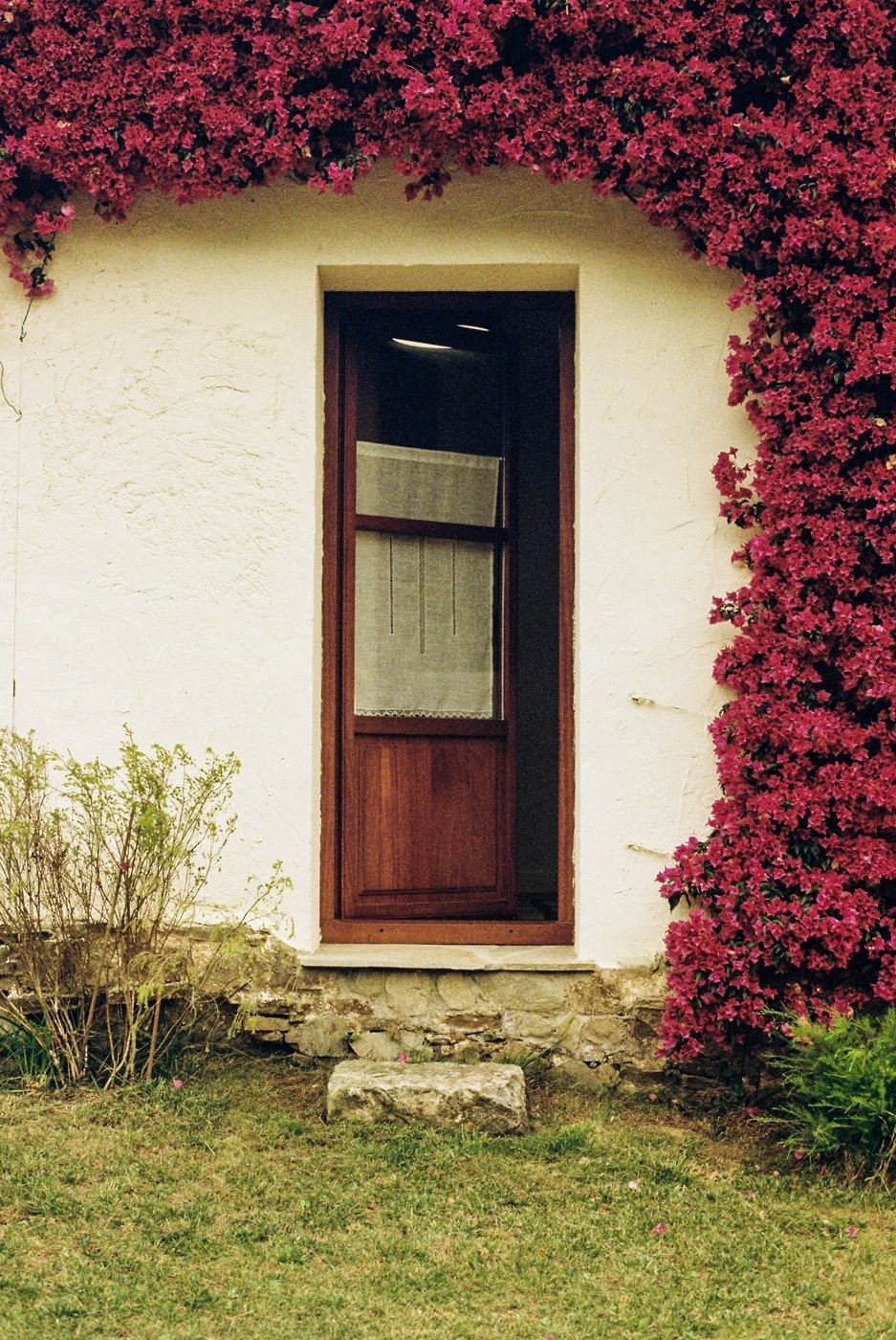 Reforma en San Cosme: puerta de madera en la fachada encalada, enmarcada por una buganvilla